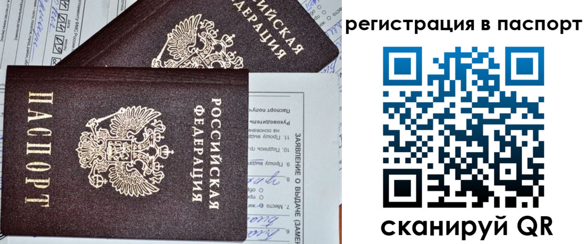 прописка законно в Сольцах