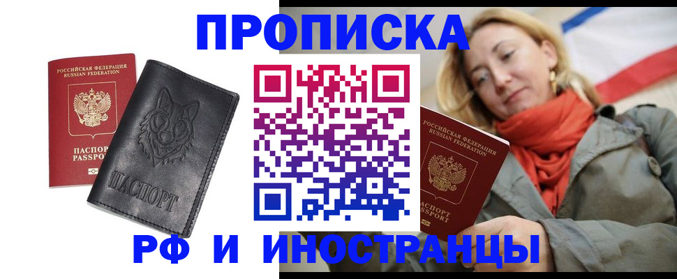 прописка в Сольцах